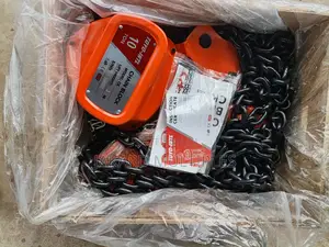 10 Ton Chain Block