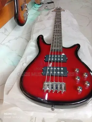 Wellsound Passive Five String Bass Guitar