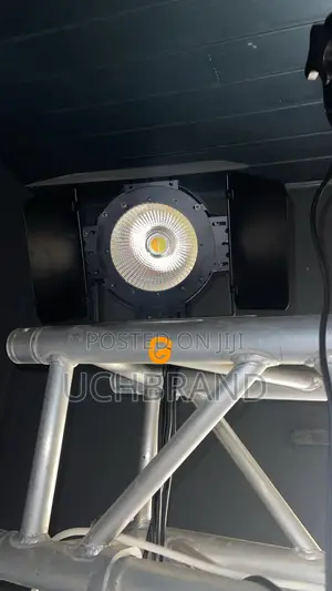 100 Watts Cob Light