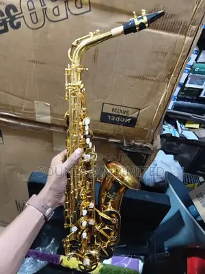 Professional Alto Saxophone Gold