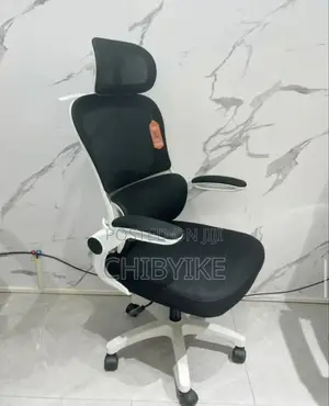 Executive Mecs Chair for Office
