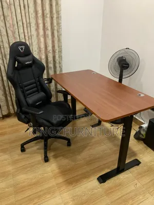 Electric Adjustable Desk  With Furgle Game