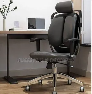 Kidney Adjustable Office Chair