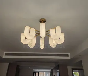 Ceiling U Shaped Chandalier Light