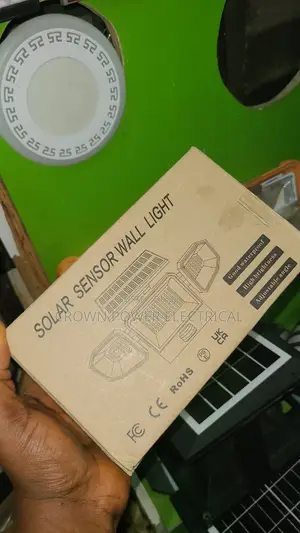 Solar Sensor Wall Light With Remote