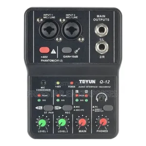 Teyun Q12 Professional High Fidelity Sound Card.