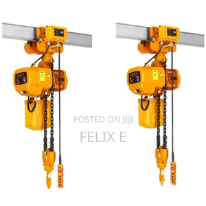 Electric Chain Hoist With Trolley