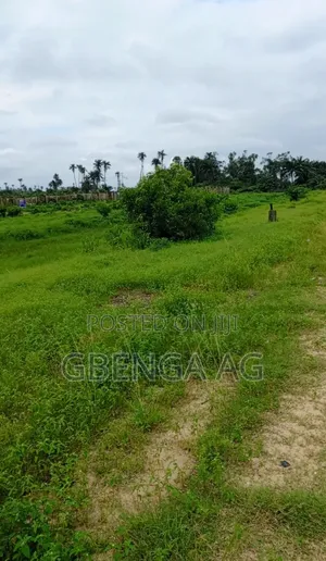 30 Hectares of Land Facing Coaster Road Ibeji Lekki Lagos for Sale