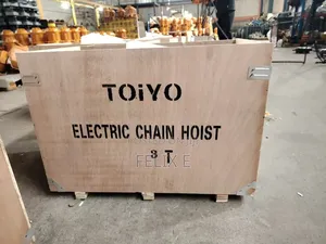 Electric Chain Hoist With Trolley