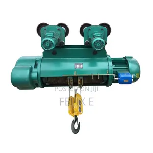 Electric Wire Rope Hoist 3