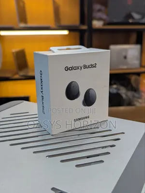 Samsung Galaxy Earbuds 2