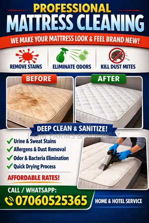 Professional Mattress Cleaning Near Me (Remove Stains, Odour Dust)