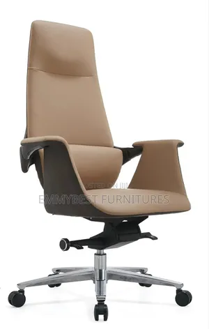 Executive Office Chair.