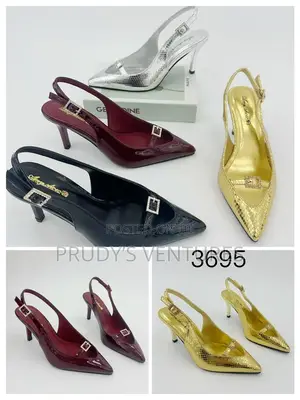 Zara Heel Ladies Shoe for Outdoor Wears