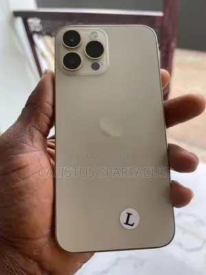 Apple iPhone 13 Pro Max 256 GB Gold