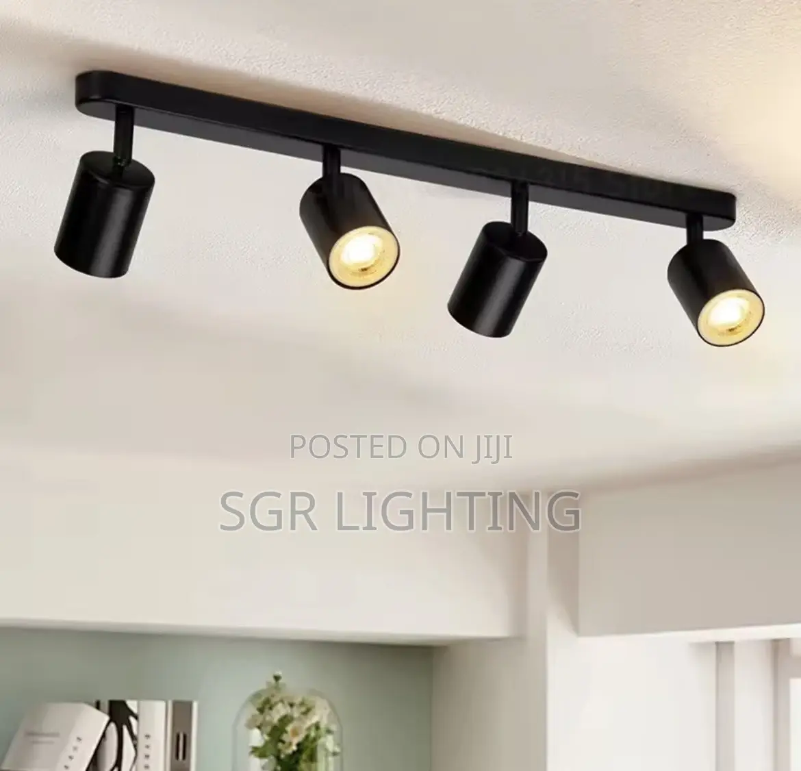 Dimmable Spotlight and Trail Light
