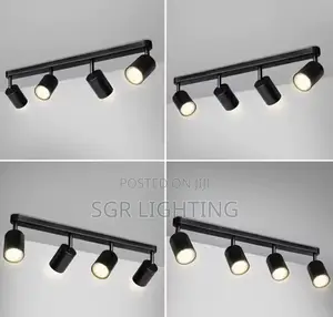 Dimmable Spotlight and Trail Light
