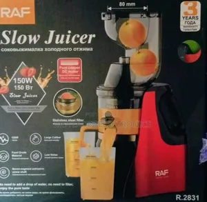 Raf 150w Low Voltage Large Capacity High Power Electric Slow Juicer