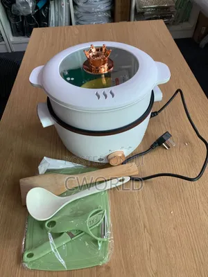 Multipurpose Electric Pot