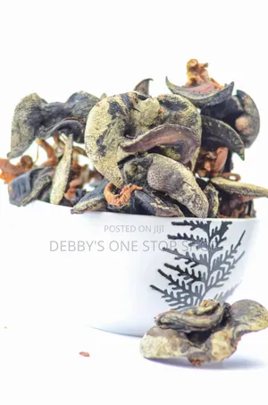 10pcs Jumbo Size Oven Dried Snail