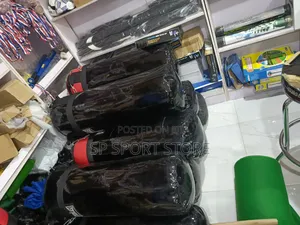Everlast Punching Bags