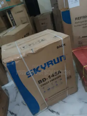 Get Skyrun Bd-145a 145l Grey – The Smart Freezer Choice