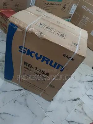 Skyrun Bd-145a Grey Chest Freezer – Super Freezing Lock