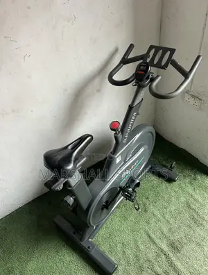 Commercial Elip Jupiter Spinning Bike