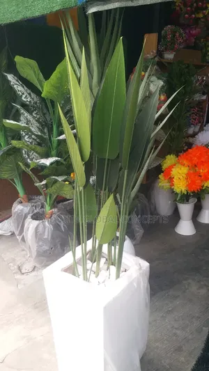 Paradise Leaf