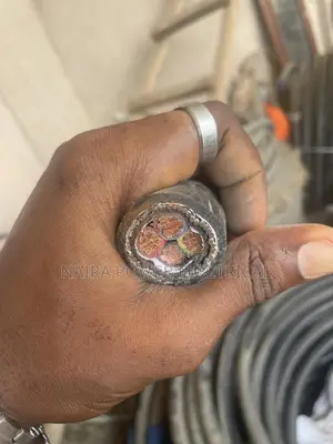 35mm 4core Armored Nigeria