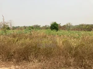 Cheapest Land in Enugu