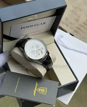 Poedagar Mechanical Chronograph Wristwatch