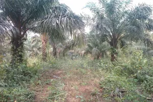 Hectares of Land at Kuchi Yako Ext Abuja