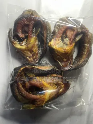 Oven Dried Catfish