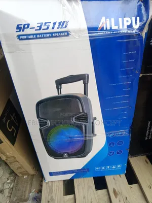 Ailipu Speaker and Public Address With Two Wireless Microphone