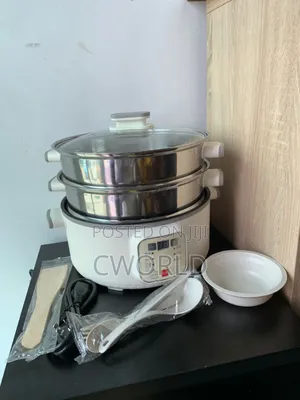 Electric Cooking/Steaming Pot