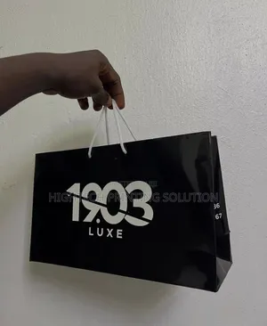 Business Paper Bag With Logo - Bulk Discount Shomolu, Lagos.