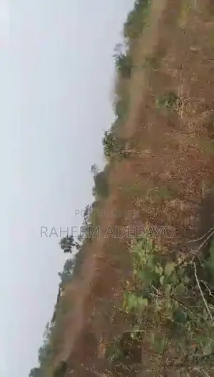 Two Acres of Land