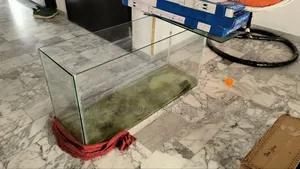 Aquariums Servicing And Maintenance