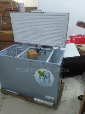Bona 318l Solar Freezer: The Future of Food Preservation