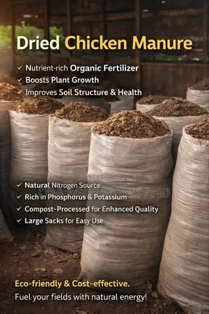Chicken Manure, Dried Poultry Dropping