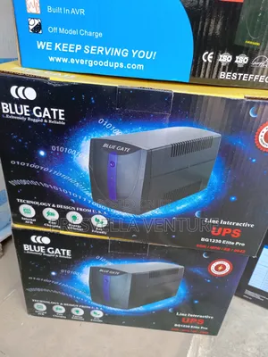 Bluegate 1.2kva Ups (1230) Line Interactive