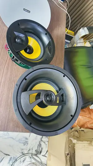 100w Framless Ceiling Speakers With Woofer