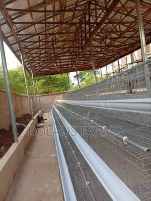 120 Birds Capacity Hot Deep Galvanized Cage