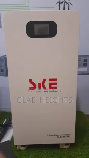 Ske 15kwh Lithium Battery