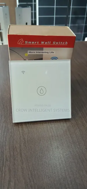 Gang 1 Smart Wall Switch
