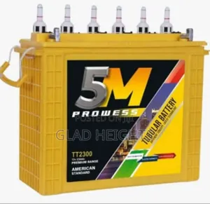 5m Prowess Inverter Battery