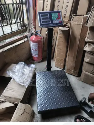 300kg Digital Platform Scale