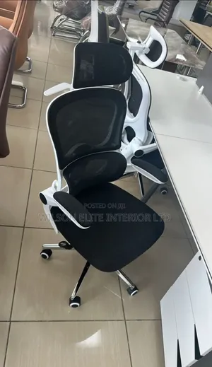 Executive Ergonomic Office Chair For Long Hours At Work