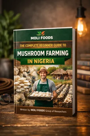 The Complete Beginner Guide to Mushroom Farming in Nigeria